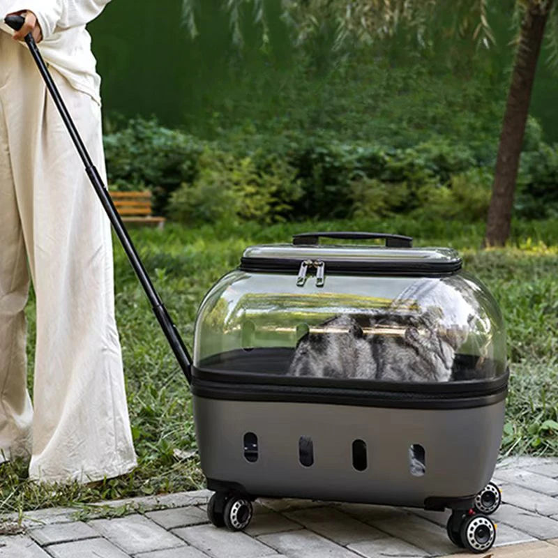 Transparent Pet Suitcase Large Capacity Cat Carry Portable Cat Stroller for Traveling Comfortable Breathable
